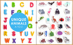 Magnetic Animals & Letters