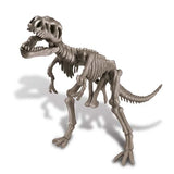 Dig A Dinosaur