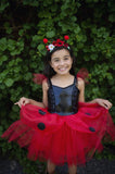 Lady Bug Dress & Headband Set (3-4 years)