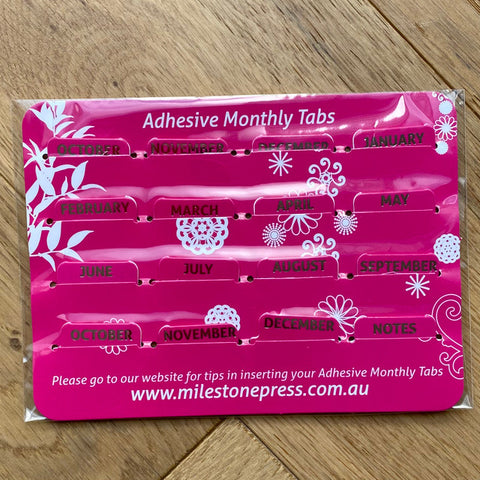 Master Plan Diary Monthly Tabs